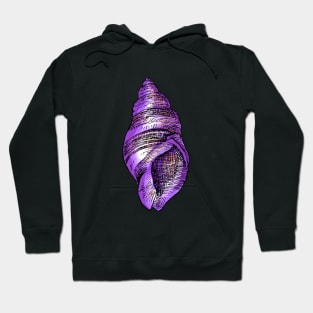 vintage seashell illustration with bright purple and yellow colours Hoodie